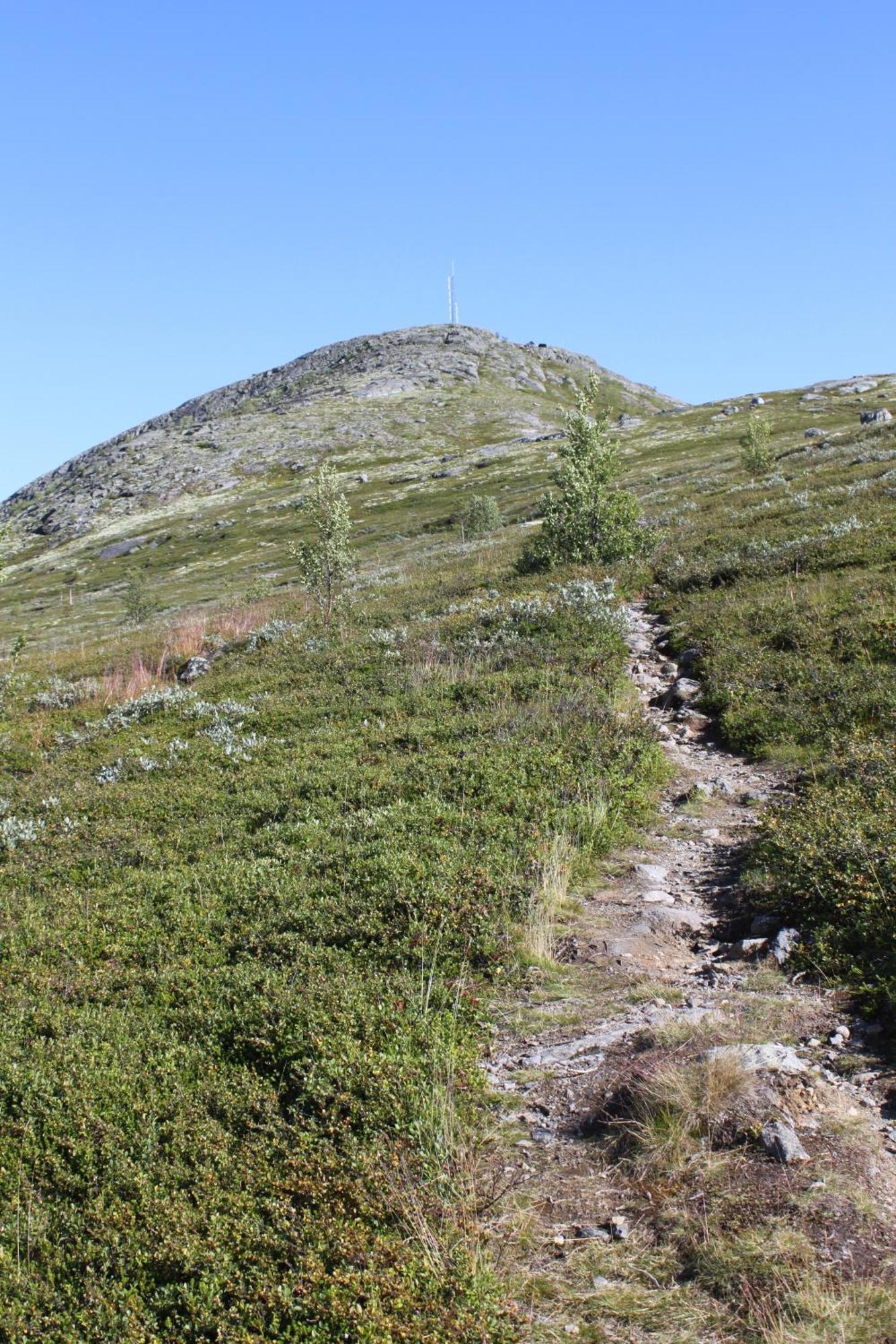 Heidal Jotunheimen Feriesenterヴィラ エクステリア 写真